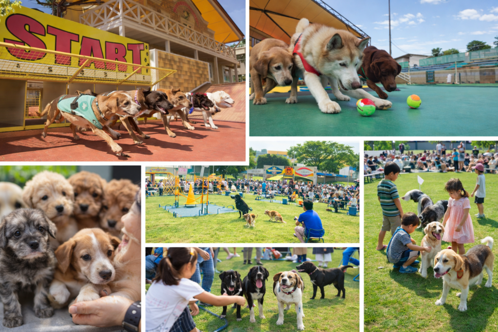 現在の画像: わんわんランドGWイベント