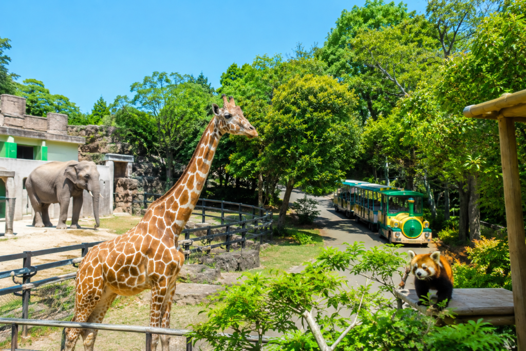 日立市・かみね動物園開園記念
