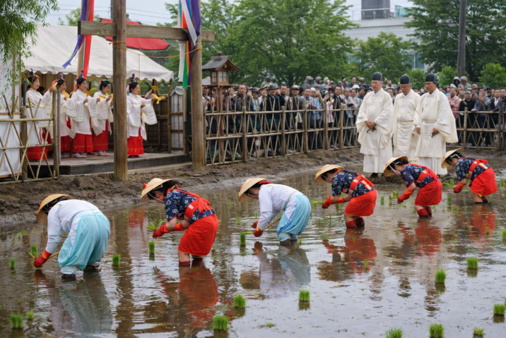 現在の画像: 【笠間市】笠間稲荷神社 御田植祭