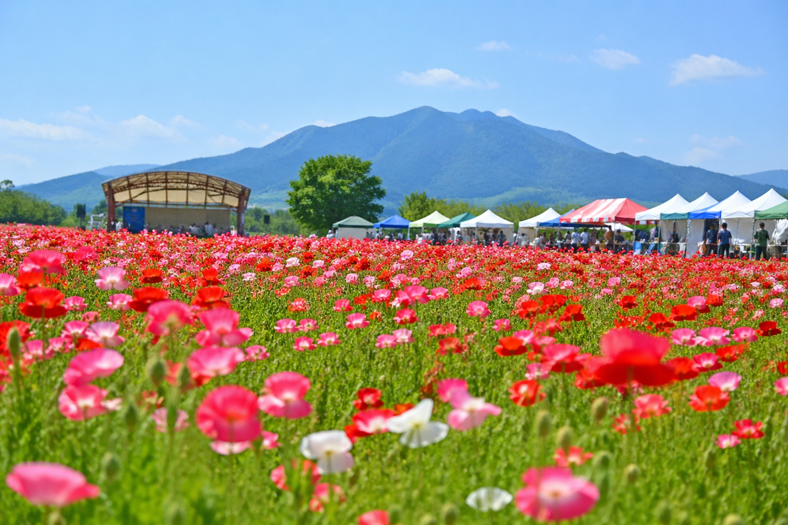 下妻市・小貝川フラワーフェスティバル
