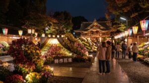 下妻市菊まつり