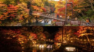 花貫渓谷紅葉まつり