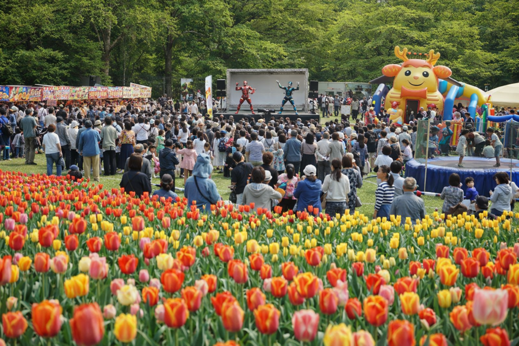 現在の画像: 稲敷チューリップまつり