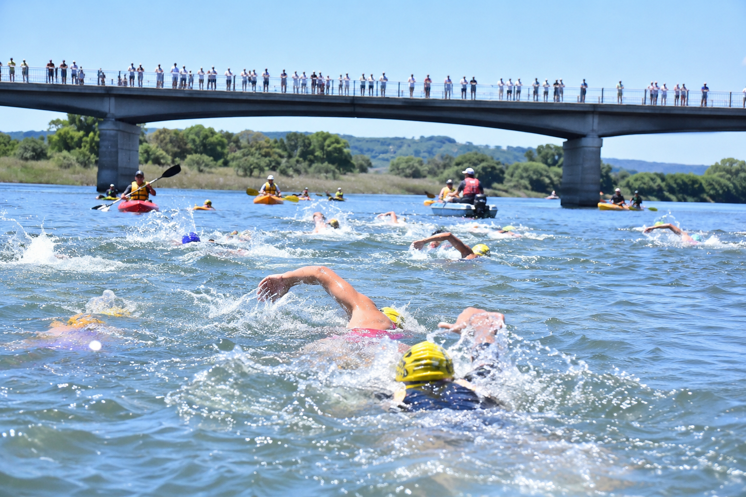 那珂川遠泳大会