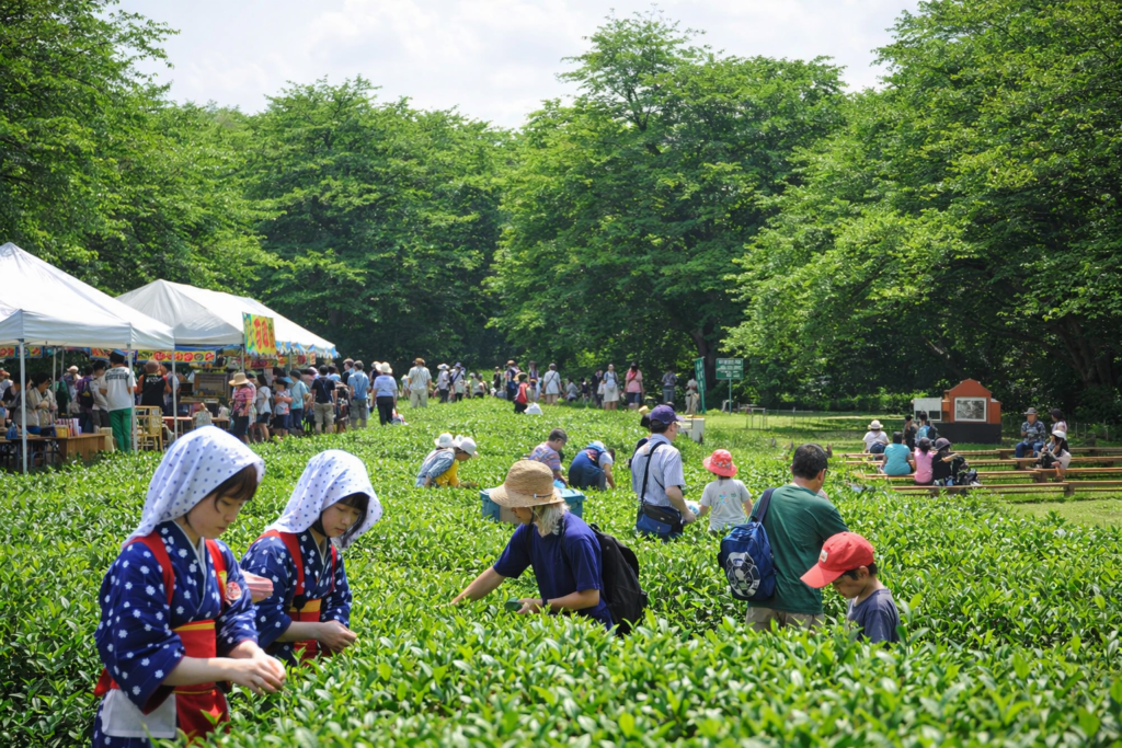 現在の画像: ふるさと古河新茶まつり