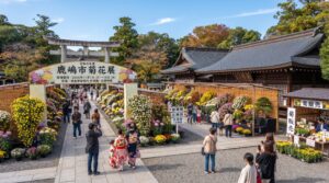 鹿嶋市菊花展