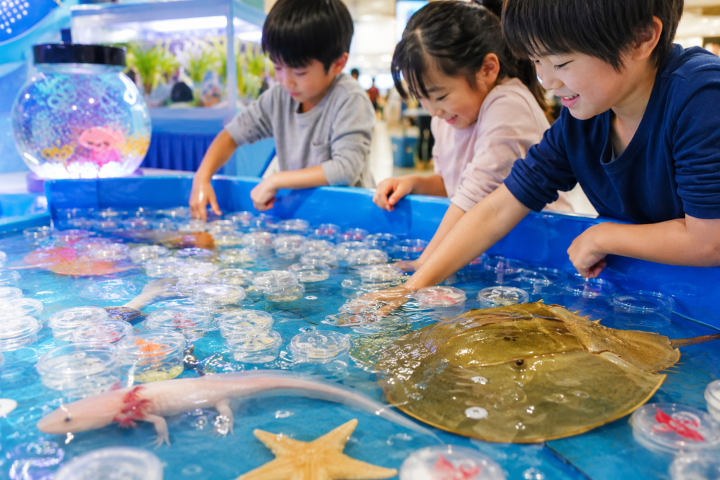現在の画像: 日立市あそべ~る水族館みずみずランド